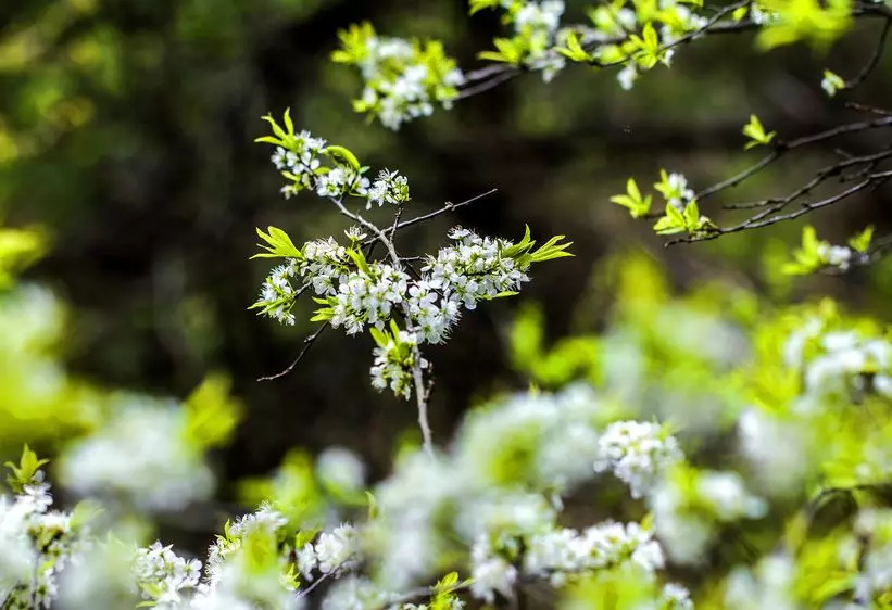 王观《卜算子•送鲍浩然之浙东》诗词赏析