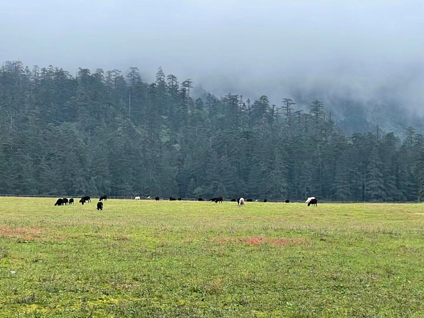 玉龙雪山山麓的蓝月谷，是蔚蓝天空送给丽江的永恒印记