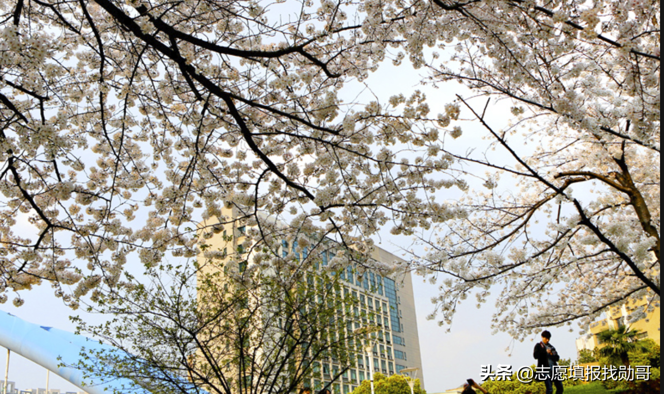 学计算机最好的11所普通大学，不比985、211差，毕业有高薪