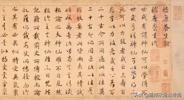 他想做自由的飞鸟和麋鹿却做不成，最终他的生命被简单粗暴地剥夺
