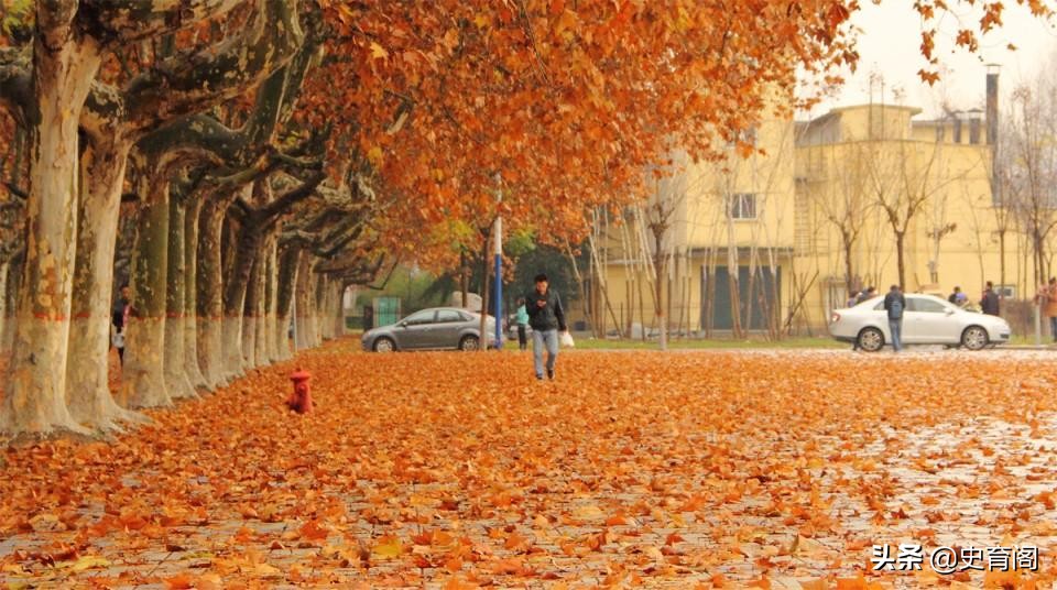 西安“最好”8所211大学！第5所是985，却比211还好考，考上就赚