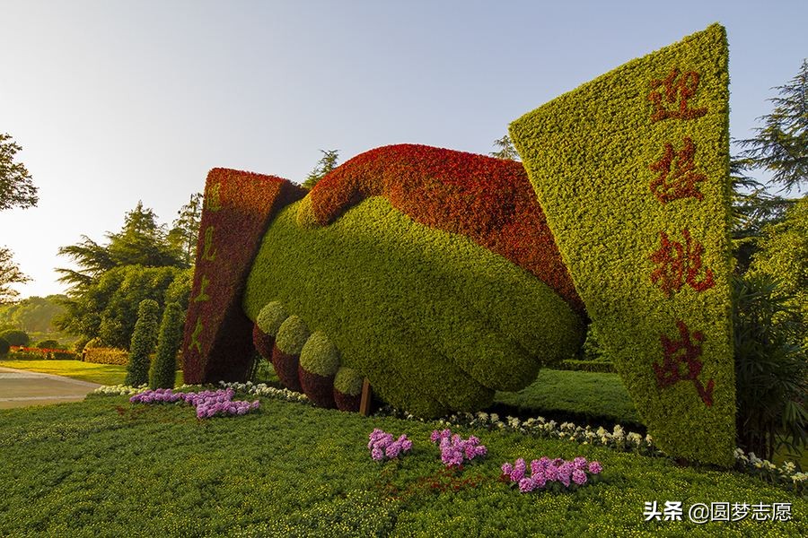 曾被称为“一本守门员”的上海大学和东华大学，现在发展怎么样？