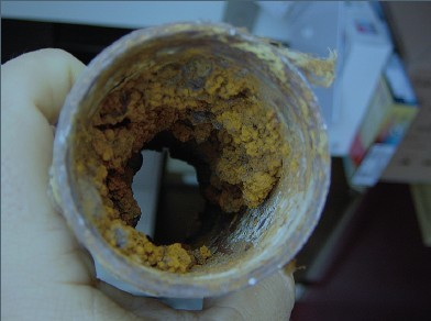 防冻液怎么选？哪种颜色最好？寒潮来袭该做点啥？
