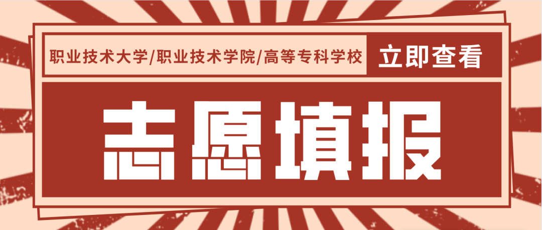 技术大学（职业技术大学）