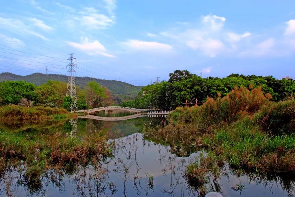 深圳十大免费特色的湖泊公园