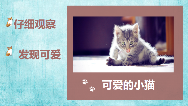 「清清的习作课」习作指导——《可爱的小猫》