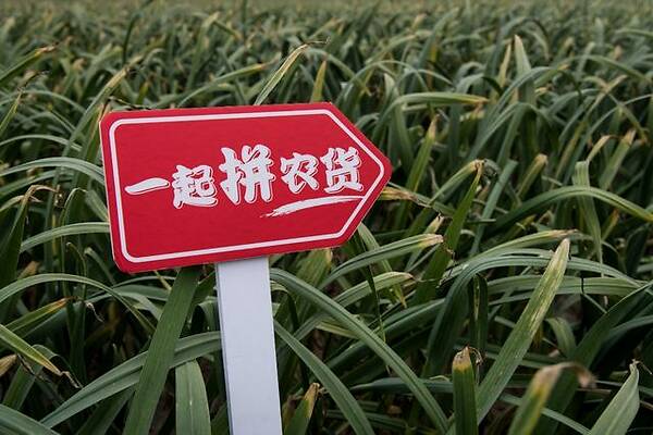 拼多多开店主图和详情页尺寸多少，全面讲解