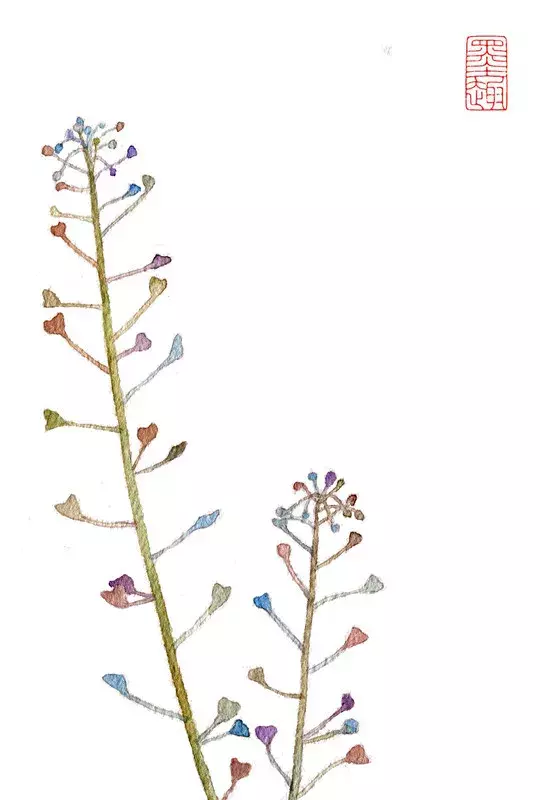 镜花水月，插画师用一支水彩笔画出一个梦想王国！