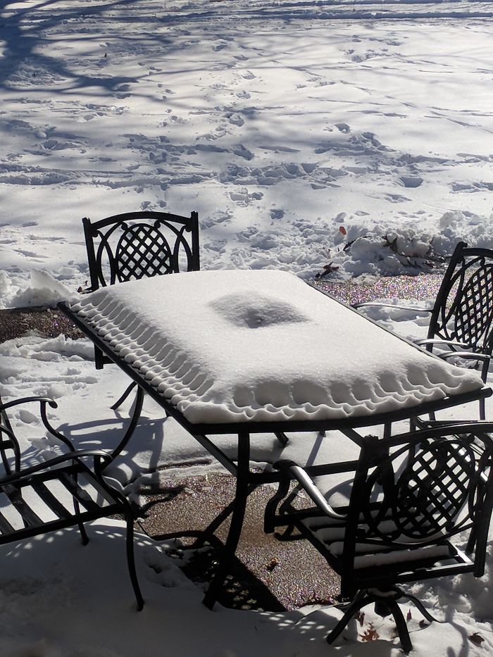 45张罕见的雪景照片：雪后的白菜地密集恐惧症慎入