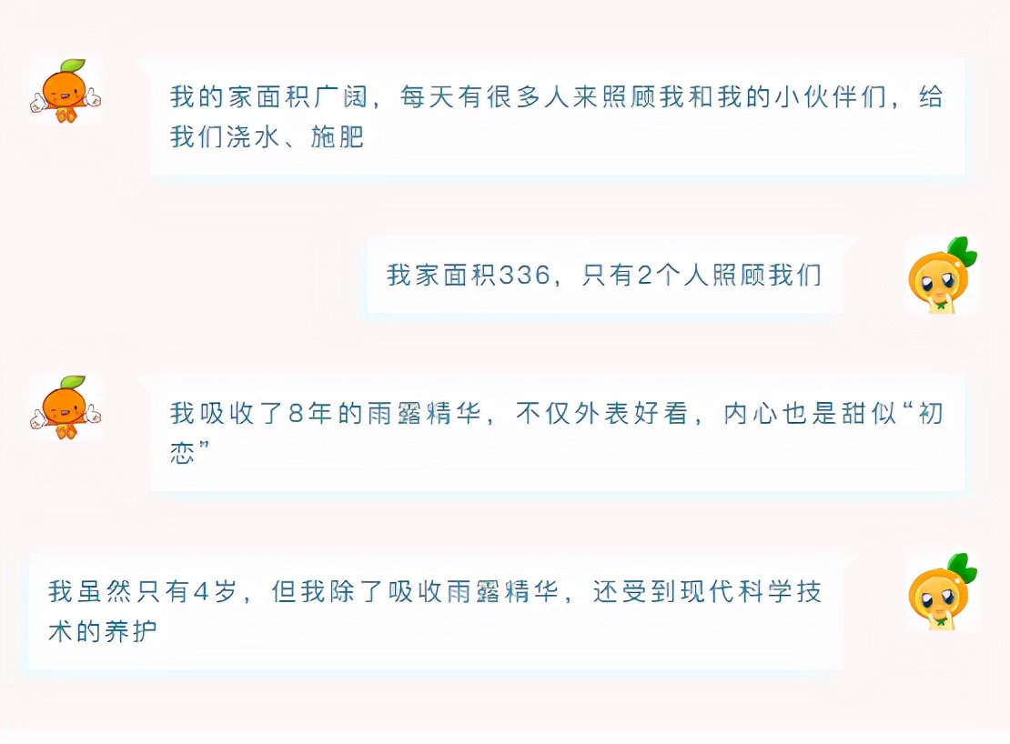 从2人管理的果园中摘下的脐橙，是如何斩获脐橙质量“金奖”的？