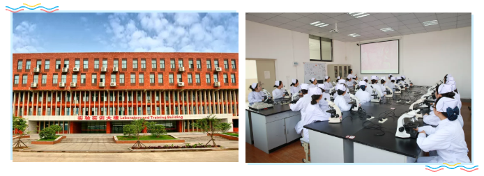 2020届学弟学妹，武汉外语外事职业学院在找你