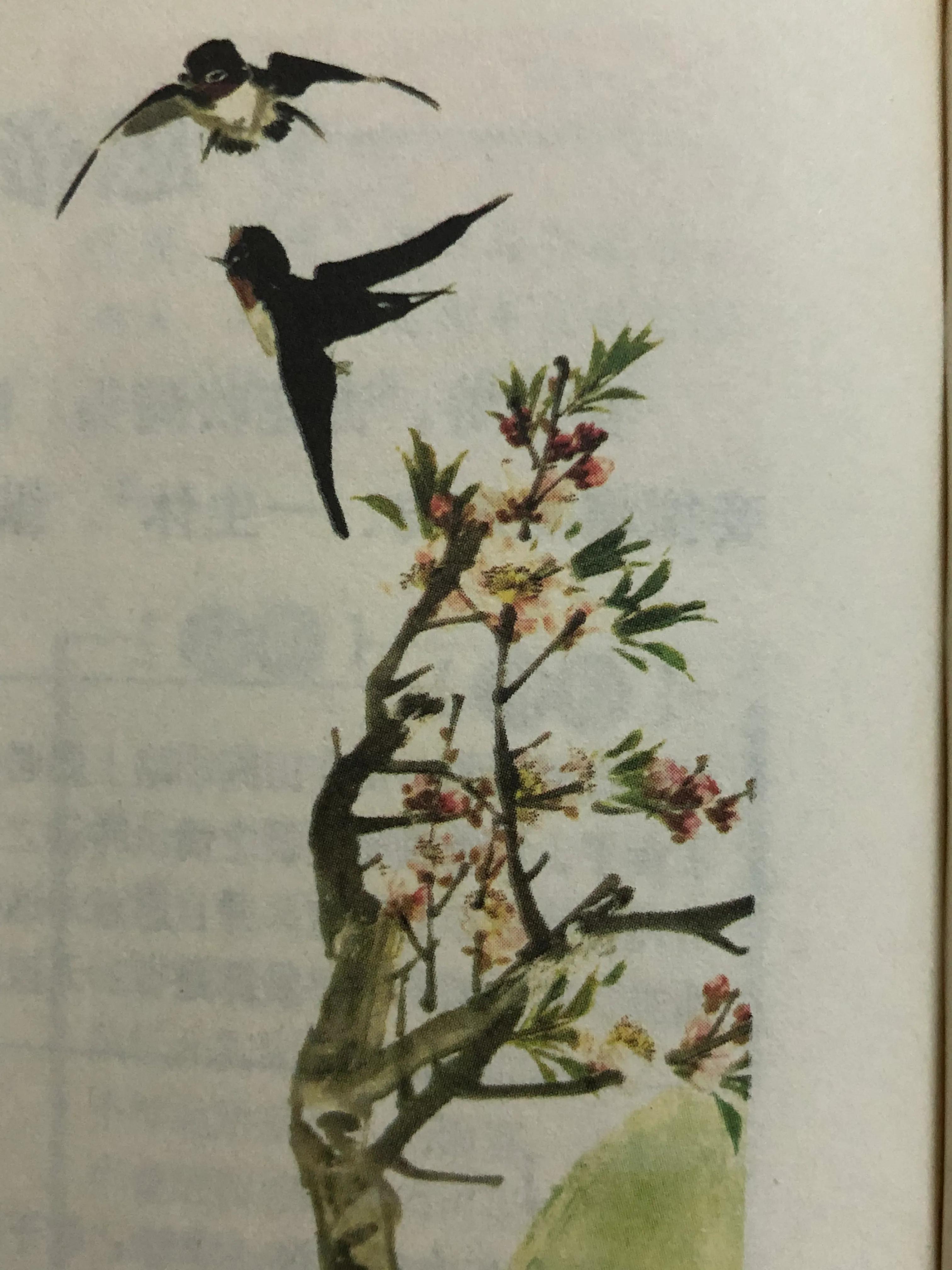 宋词赏析《木兰花·东城渐觉风光好》