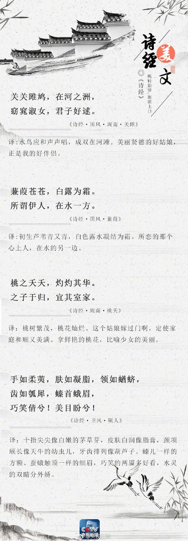 《诗经》名句精选：跨越三千年的深情吟唱与人生智慧
