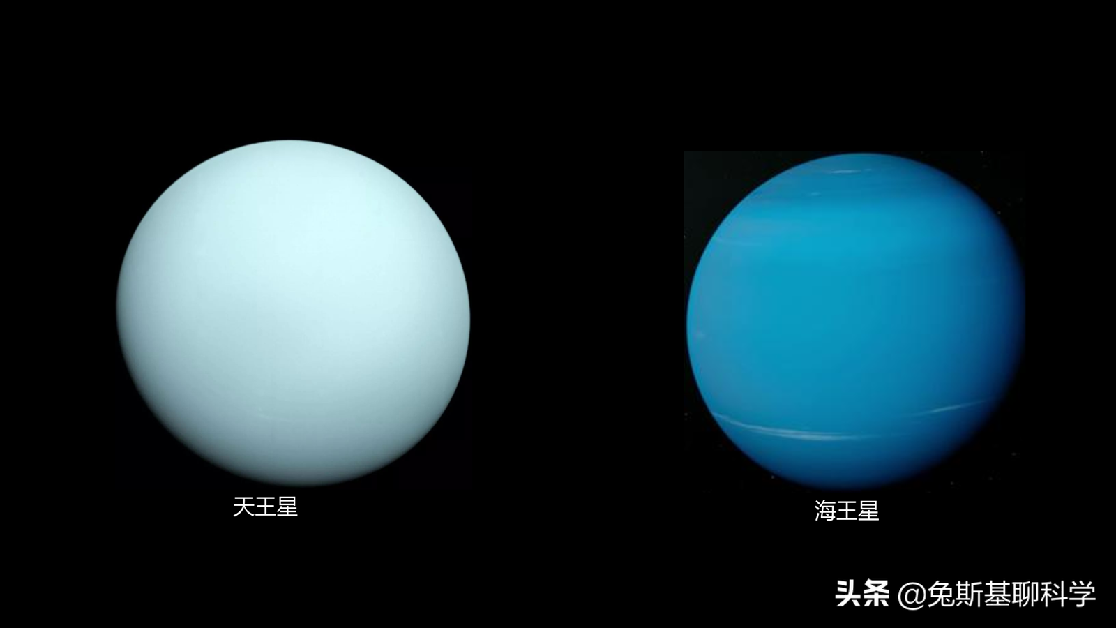 金星水星地球大小排序(太阳系八大行星都有多大？8张行星大小对比图告诉你)