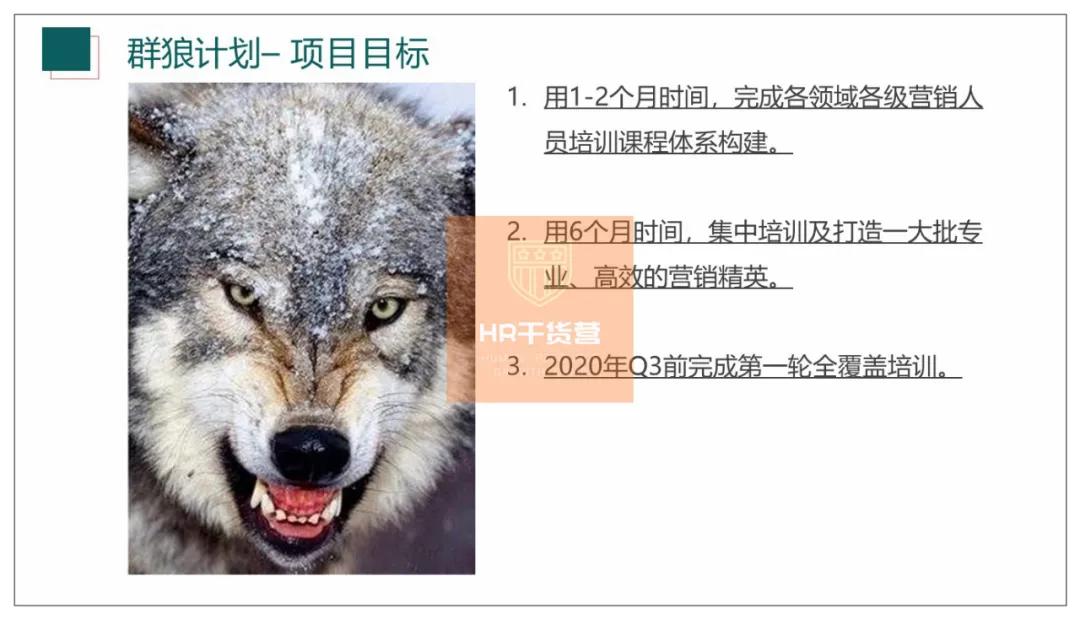 C叔教你如何写2021年度培训规划？50页全解析（干货！）