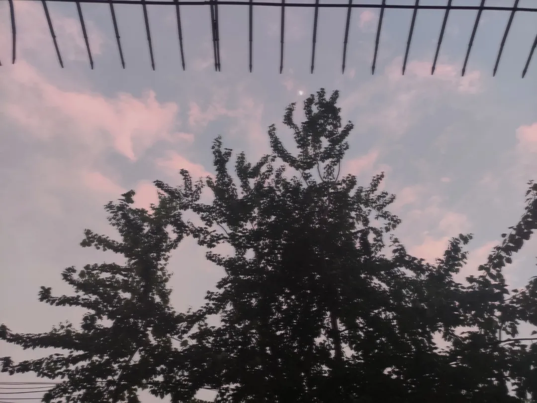 优微推荐｜窗户里的农大