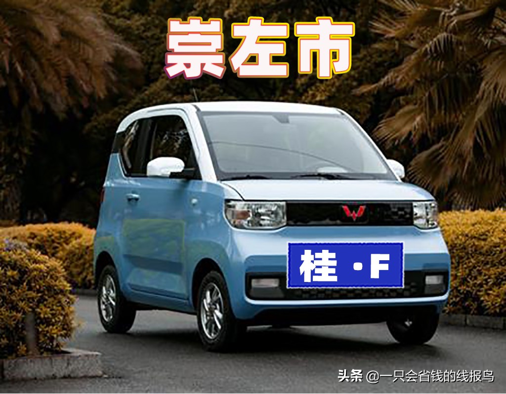 å¹¿è¥¿å£®æ—�è‡ªæ²»åŒºæ±½è½¦ç‰Œç…§å&shy;—æ¯�æ�’åº�