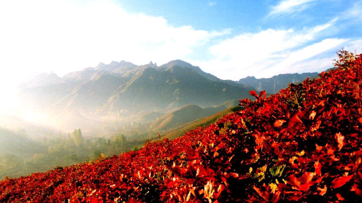 值得一读的《送魏万之京》：莫见长安行乐处，空令岁月易蹉跎