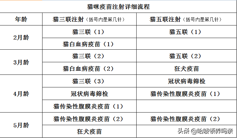 猫咪疫苗三联和五联有什么差异？收下这份铲屎官的专业疫苗手册