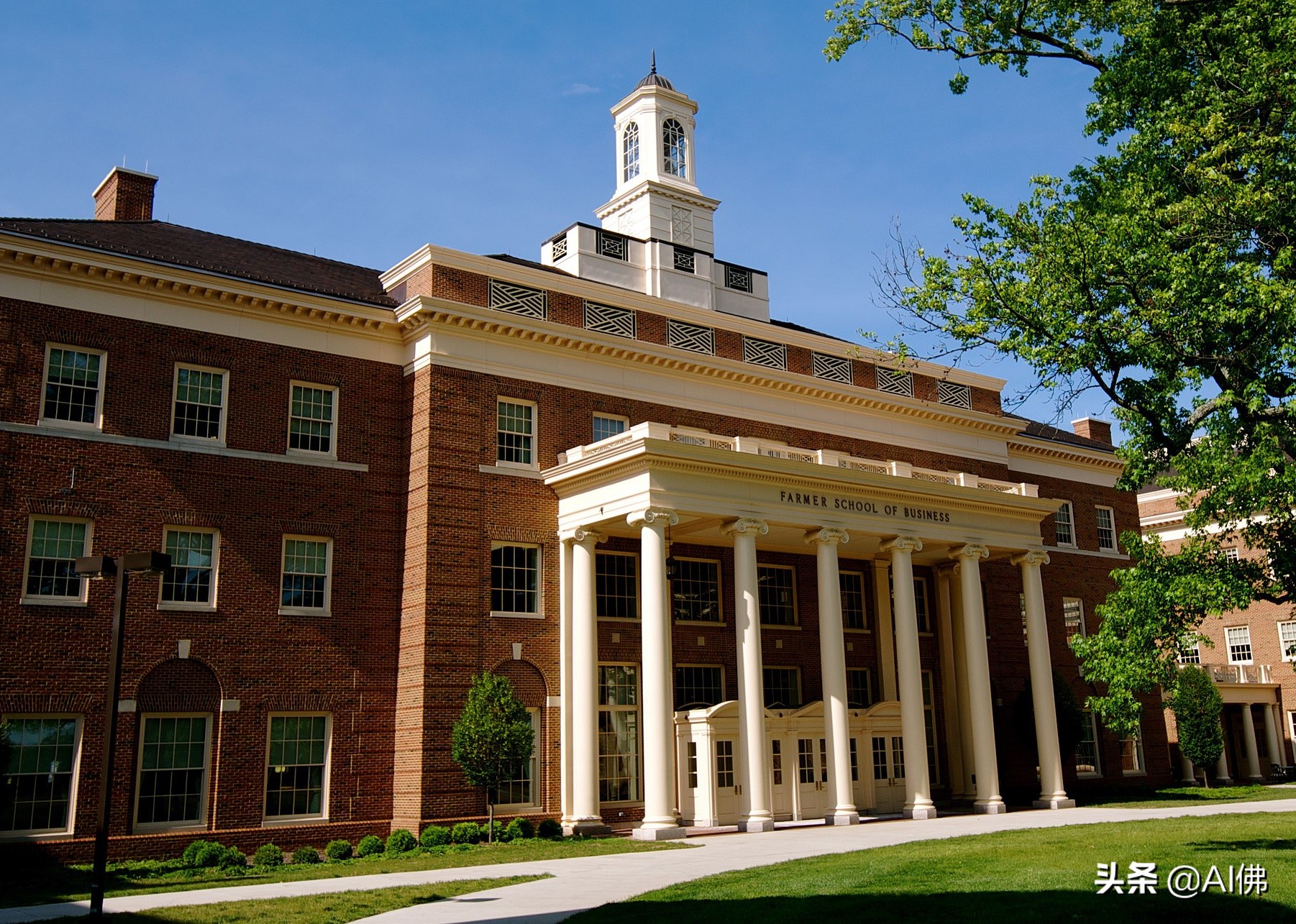 美国每个州ROI最高的公立大学