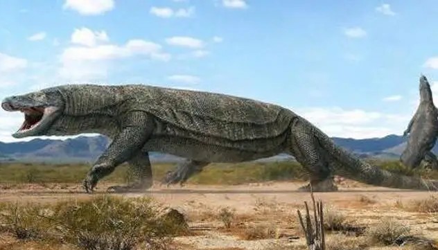 古巨蜥澳洲魔龙(什么是古巨蜥)-图2