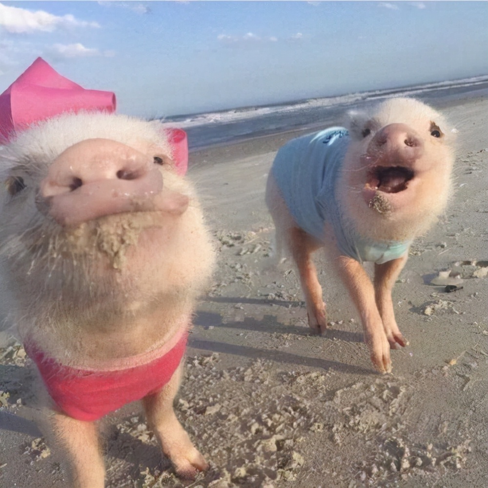 「网络安全」使用个人 VPN在企业内网中会有潜在的风险