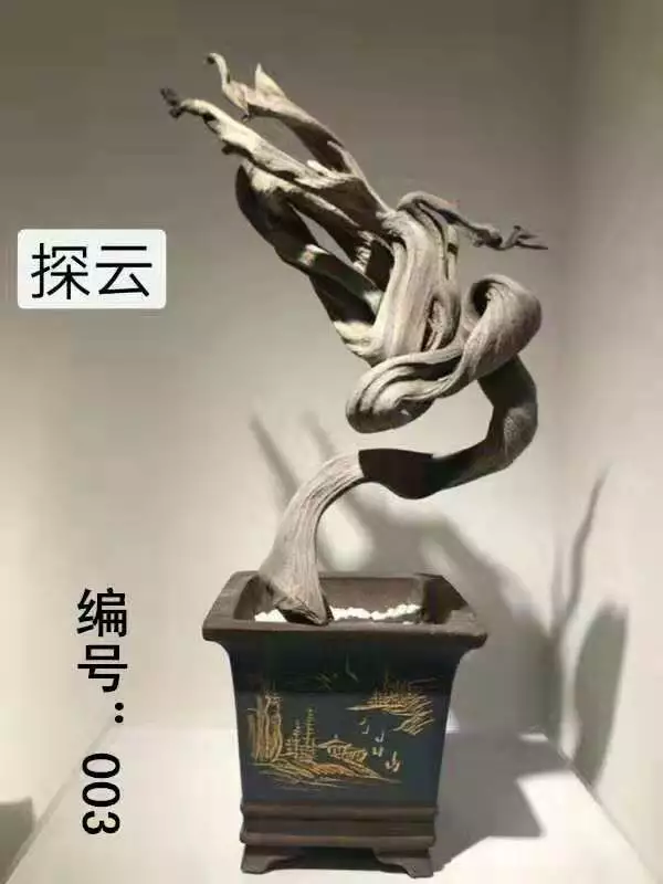 Ã£ÂÂÃ¥ÂÂÃ¥ÂÂÃ£ÂÂÃ¦Â Â¹Ã©ÂÂÃ©Â¢ÂÃ¥ÂÂ¾Ã¨Â¯ÂÃ¯Â¼ÂÃ¥ÂÂÃ©Â¦ÂÃ¯Â¼Â