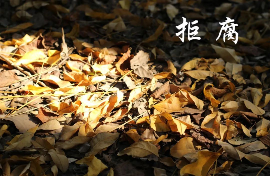 怀德学院“心怀正气 尚德倡廉”文化作品展