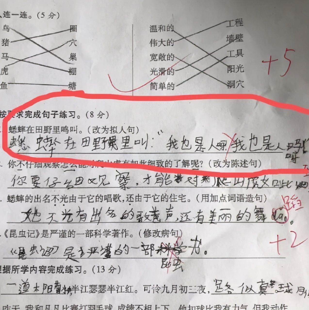 小学生考试“拟人句”走红，老师很无奈，网友评论：这很“拟人”