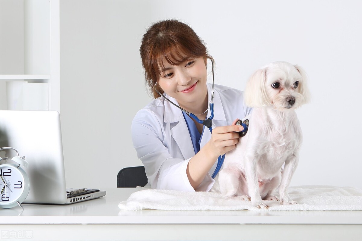 华中农业大学成人高考函授专科招生报名畜牧兽医专业