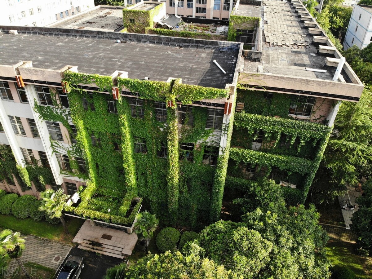 这四所农林类的大学，虽然不是211层次，但在省内颇受重视