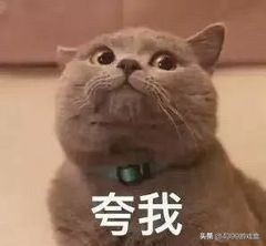 奥拉星手游：低配通过哥白尼突破，平民阵容通关思路