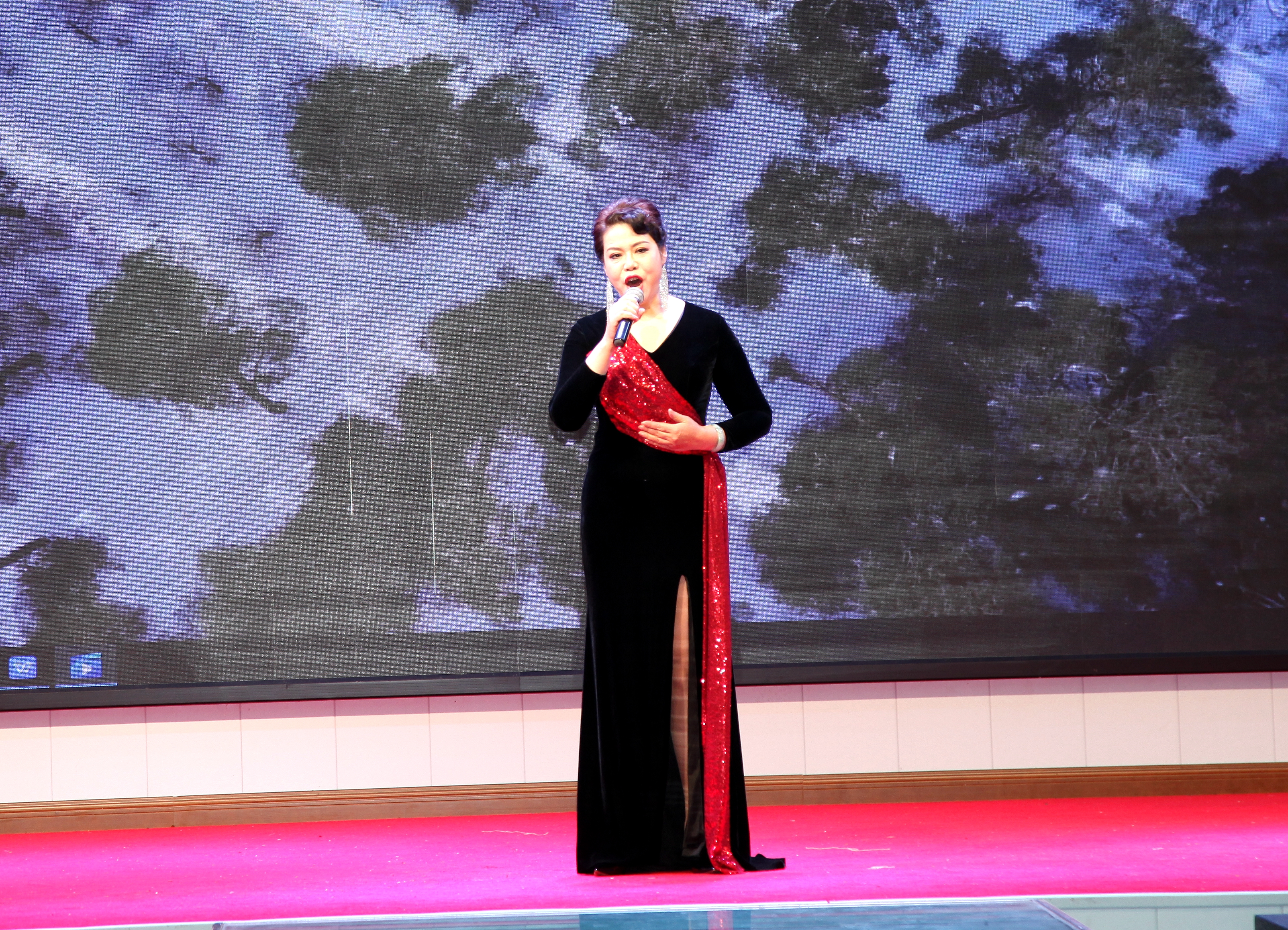 共享蓝天助残公益音乐会在成都举行