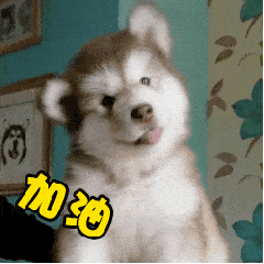 天呐，我究竟是为啥要学俄语啊