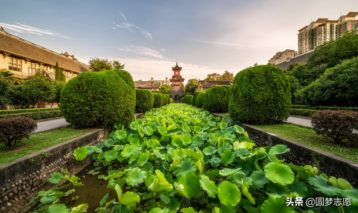 想学口腔医学专业报什么大学好？这4所顶尖院校，考上就不愁就业
