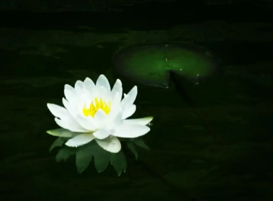 怀德学院“心怀正气 尚德倡廉”文化作品展