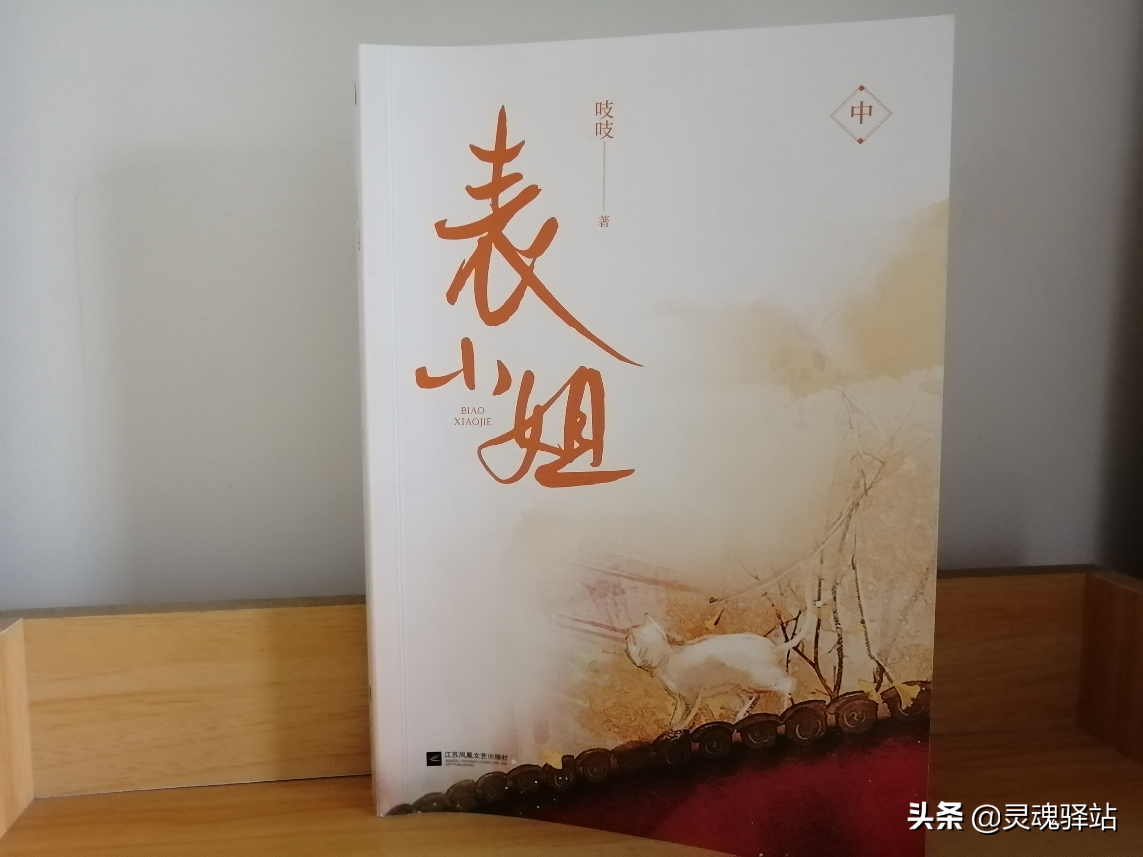 《表小姐》——世间最温暖的事莫过于你寂寥时有惦念你的人