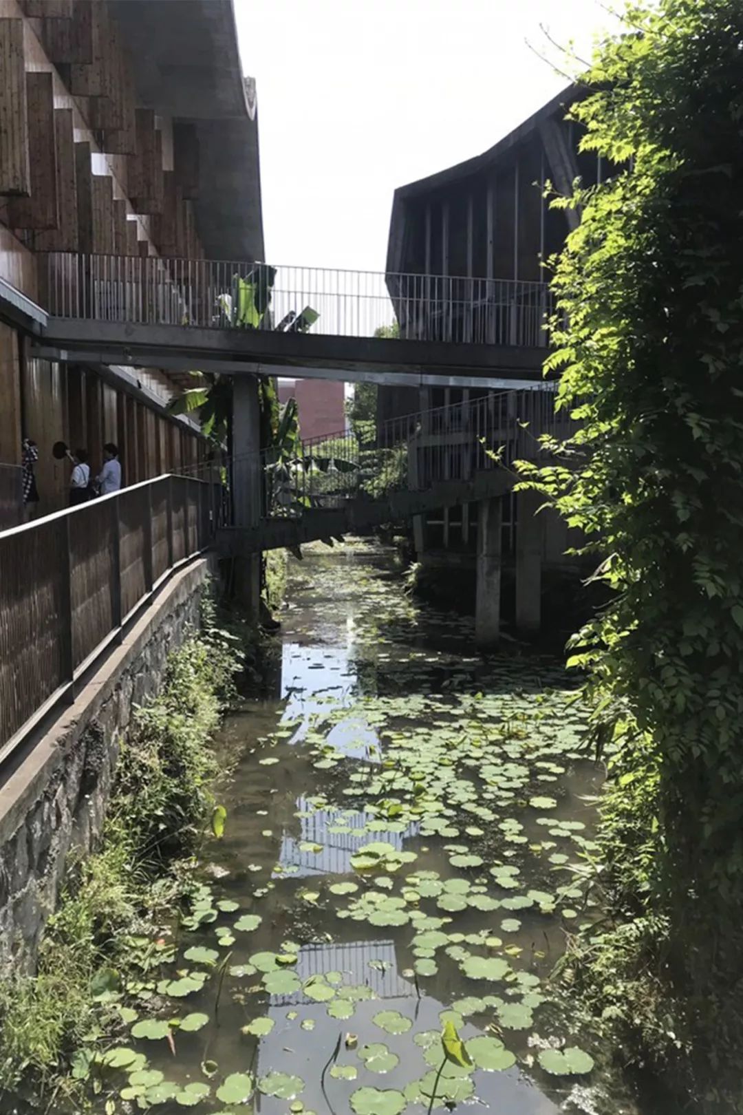 大学校园的一朵奇葩：中国美院象山校区，国内著名的网红校园