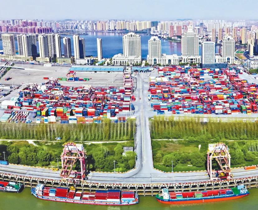 长江新区大学城选址启动，黄陂、江岸、新洲哪个地方最合适？