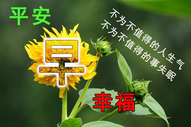 早上好问候语温馨短句2021