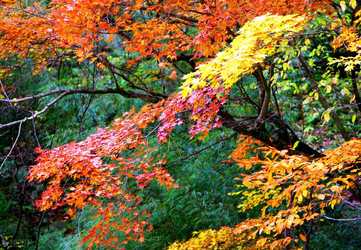 10月这12个颜值高地，已补好了妆，将向世人“卖弄”最美一面