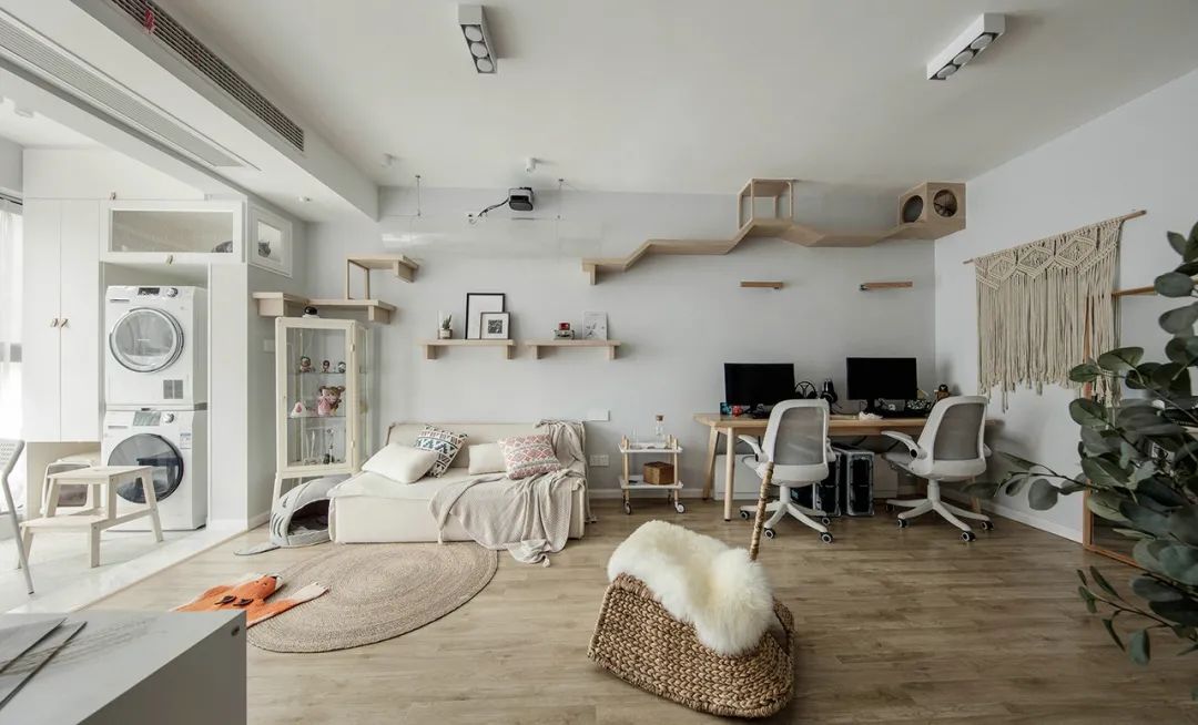 2人4猫，68m²“治愈系”原木简居，姐妹俩把阳光搬回了家