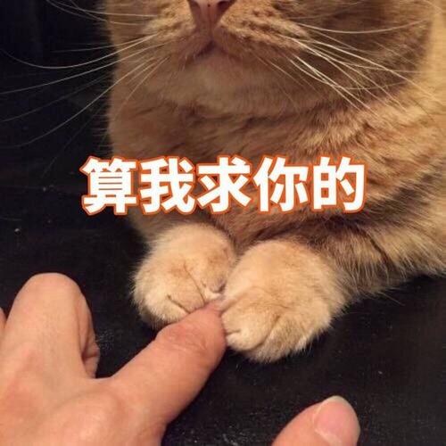 猫癣很头疼么，看完这篇你就明白了，干货