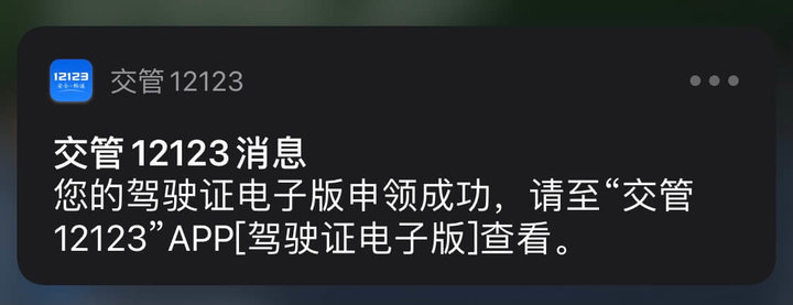 全国 28 城电子驾照来了！手把手教你申领，5分钟就能拿证上路