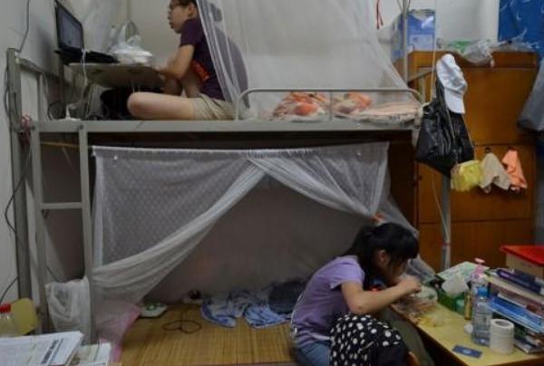大学生在校外租房成为常态？并非是贪图享受，而是有难言之隐