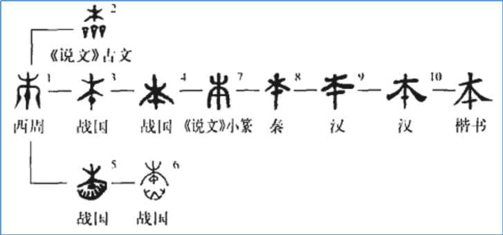 《论语》孝道精要：从侍亲之礼到敬爱之心的智慧拼图