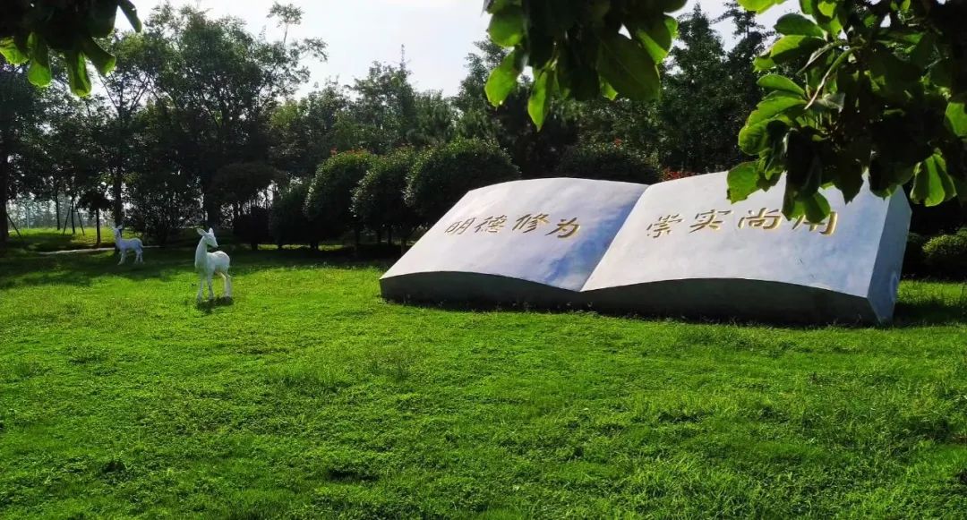 全国27个省份考生志愿填报大全 | 青岛港湾职业技术学院欢迎您