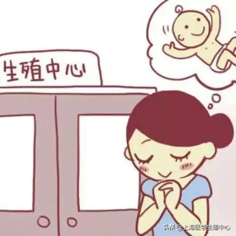 在试管助孕治疗中,女性需要承受什么?