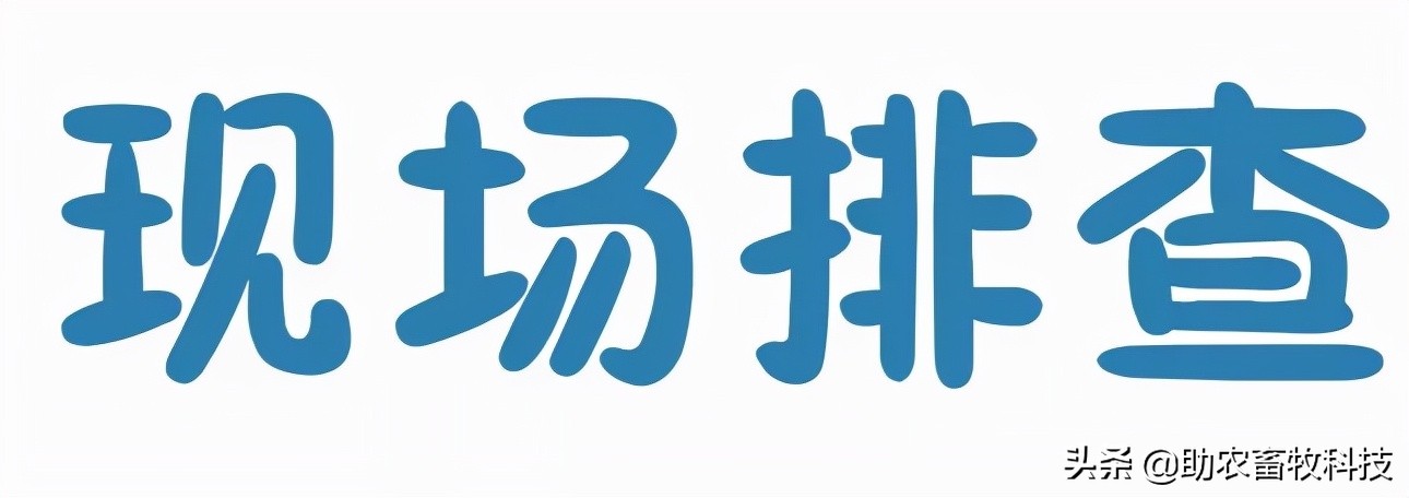 猪场如何进行非洲猪瘟排查？这几张图简单明了，值得收藏