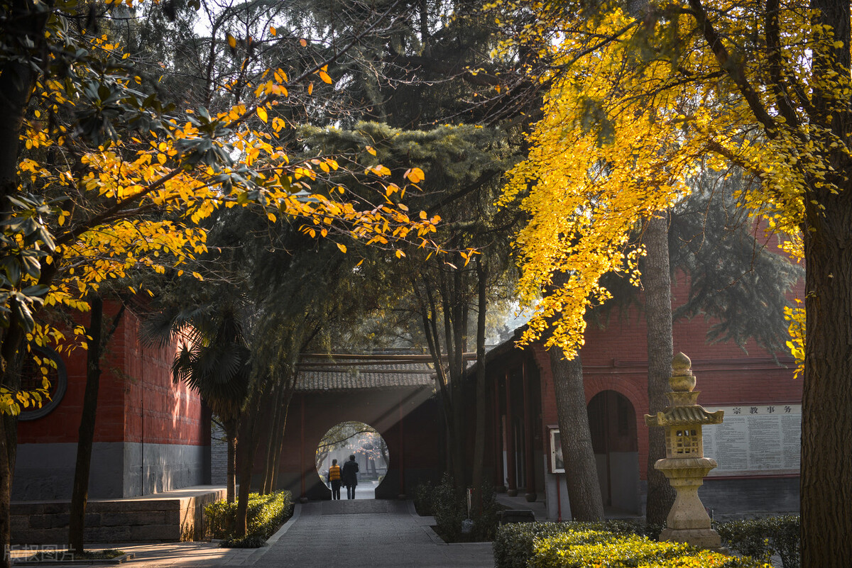 洛阳有5个5A景区，为何旅游却火不起来？还不如郑州